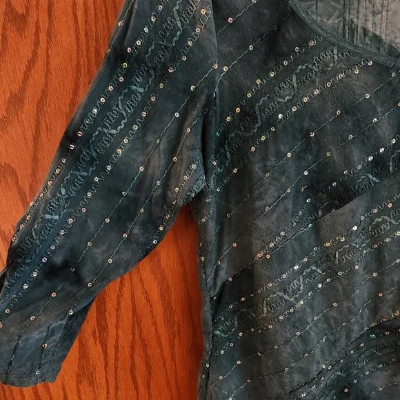 Dressbarn teal green sequin  embroidered vneck top xl - Picture 4 of 5